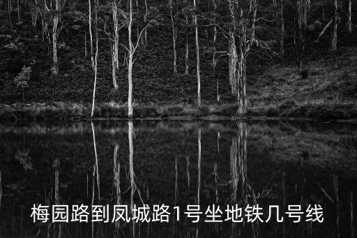 梅園路到鳳城路1號(hào)坐地鐵幾號(hào)線