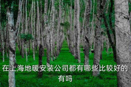 上海市有地暖安裝隊(duì)嗎，上海地暖安裝公司哪家更好