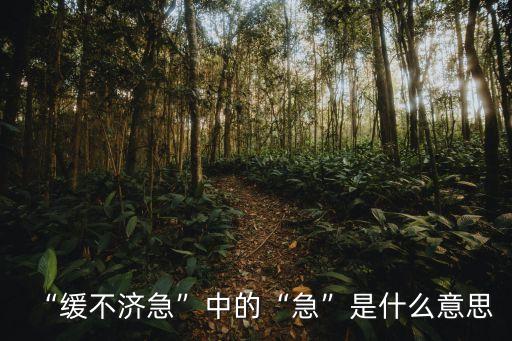 緊急的意思,同義詞of緊急:動作慢滿足不了緊急需求