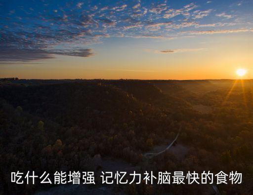 吃什么對記憶力好,堅持吃什么能預防記憶力減退?