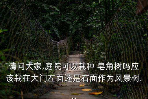 請問大家,庭院可以栽種 皂角樹嗎應該栽在大門左面還是右面作為風景樹...