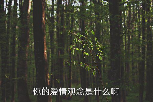 你的愛情觀念是什么啊