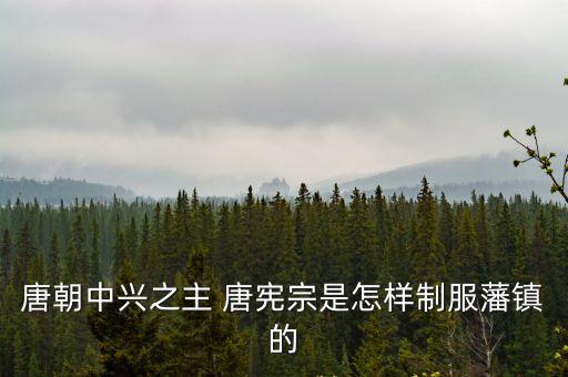唐憲宗,唐憲宗迫使父親讓位于自己永遠貞潔和內心的冥想