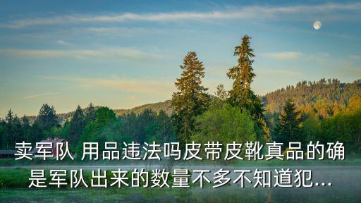 軍事用品,關于非法軍品你必須知道的事情