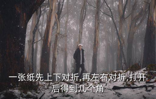 小班折紙,第十七周折疊小貓反思