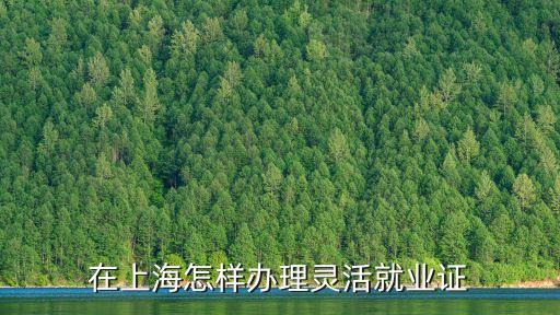 上海市申報靈活就業(yè)，我是外來人員在上海打工希要辦理靈活就業(yè)證怎么辦理