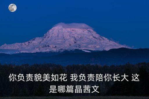 你負責貌美如花，克拉戀人中的男人負責掙錢養家你負責貌美如花是那一節