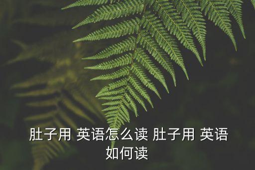  肚子用 英語怎么讀 肚子用 英語如何讀
