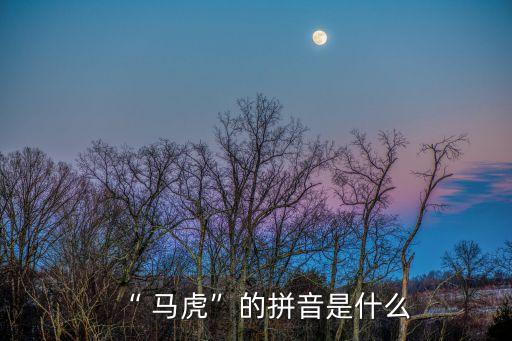 馬虎,馬虎的拼音:謹慎