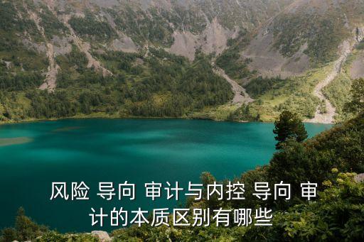 風險導向審計,風險導向審計與內部控制導向:從現有風險做起