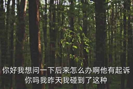 上海市文明辦處長丁小碩，你好我想問一下后來怎么辦啊他有起訴你嗎我昨天我碰到了這種