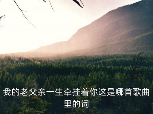 歌曲我的老父親，我的老父親是誰唱的