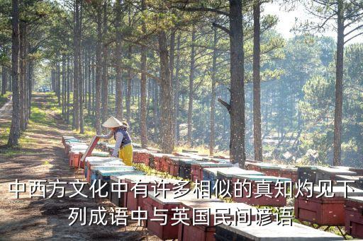 真知灼見的意思，正確透徹的見解重溫是什么成語的意思