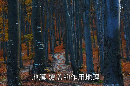 地膜覆蓋,蘋果樹下覆蓋地膜太陽光照不到農(nóng)田里