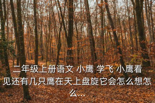 小鷹學(xué)飛,跟著老鷹學(xué)飛行小鷹高興地尖叫:我已經(jīng)會(huì)飛了