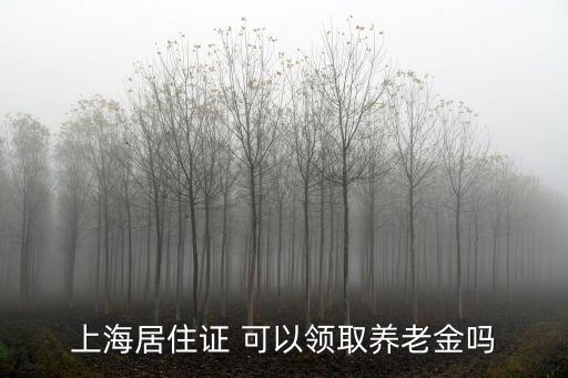 上海居住證 可以領取養老金嗎