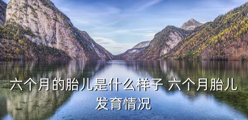 6個月的胎兒，懷孕6個月胎兒是什么樣子