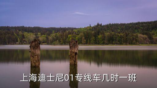 上海迪士尼01專線車幾時一班
