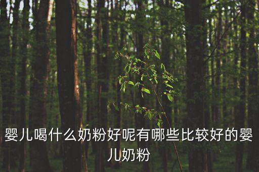 好的嬰兒奶粉，嬰兒奶粉哪個牌子好嬰兒奶粉哪個牌子的好