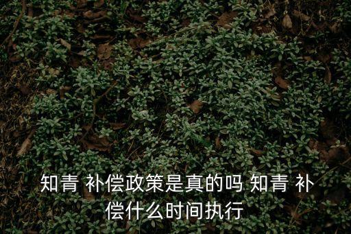  知青 補償政策是真的嗎 知青 補償什么時間執行