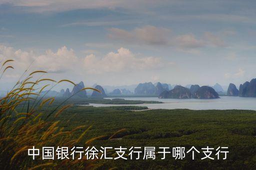 中國銀行徐匯支行屬于哪個支行