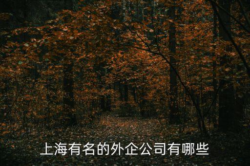 上海市對(duì)外資企業(yè)的制度，上海注冊(cè)外資公司有哪些要求