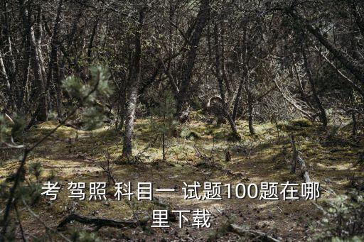 考 駕照 科目一 試題100題在哪里下載