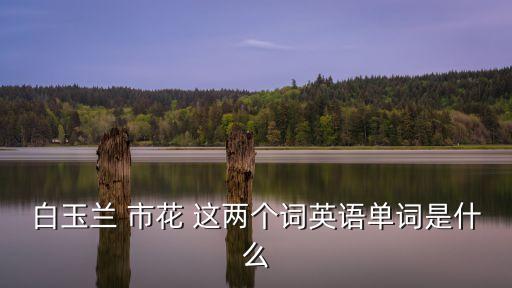 白玉蘭 市花 這兩個詞英語單詞是什么