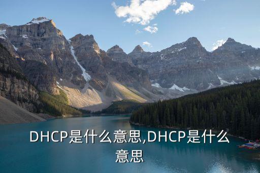 DHCP是什么意思,DHCP是什么意思