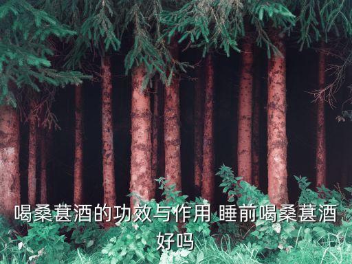 桑椹酒，桑椹酒有什么功效呢