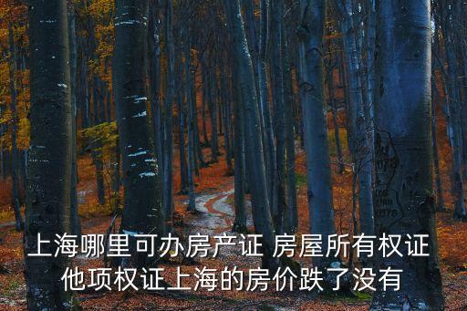 上海哪里可辦房產證 房屋所有權證 他項權證上海的房價跌了沒有