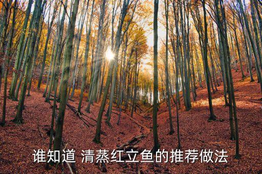 誰知道 清蒸紅立魚的推薦做法