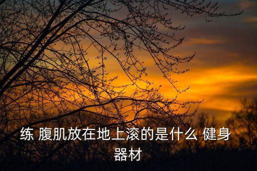 練 腹肌放在地上滾的是什么 健身 器材
