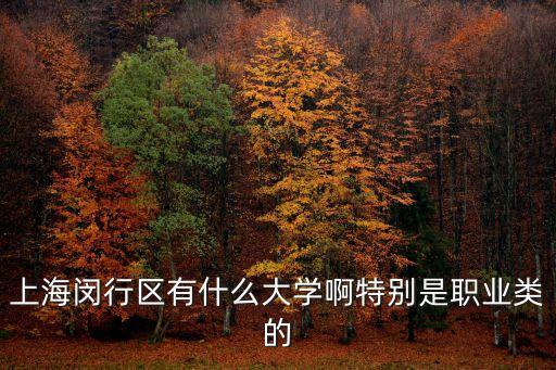 上海閔行區有什么大學啊特別是職業類的