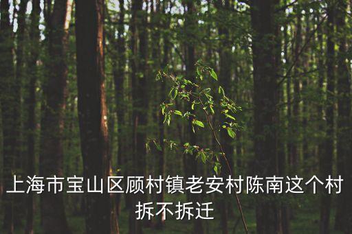 上海市寶山區顧村鎮老安村陳南這個村拆不拆遷