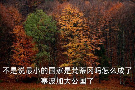 不是說最小的國家是梵蒂岡嗎怎么成了塞波加大公國了