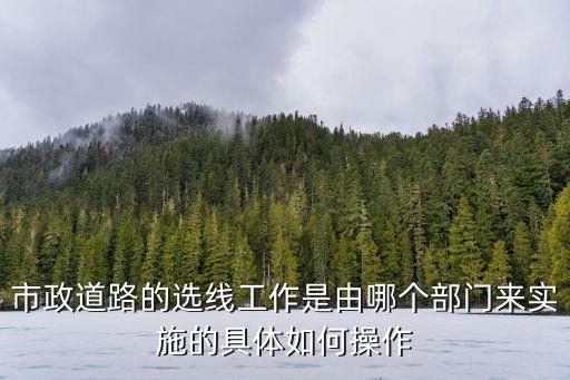 上海市政 江偉民，市政道路的選線工作是由哪個部門來實施的具體如何操作