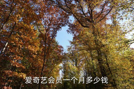 愛奇藝會員多少錢，愛奇藝會員一個月多少錢