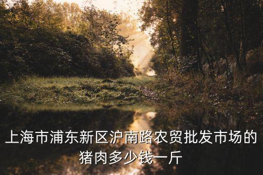 上海市浦東新區(qū)滬南路農(nóng)貿(mào)批發(fā)市場的豬肉多少錢一斤