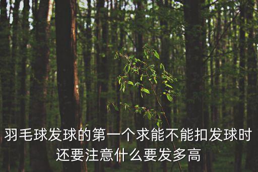 羽毛球發(fā)球的第一個(gè)求能不能扣發(fā)球時(shí)還要注意什么要發(fā)多高