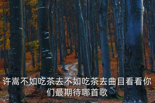 山水之間簡(jiǎn)譜，許嵩不如吃茶去不如吃茶去曲目看看你們最期待哪首歌