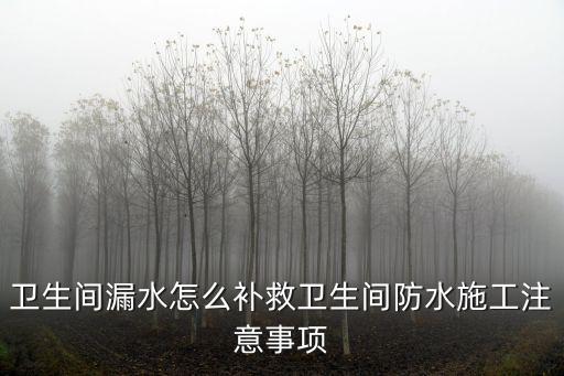 衛(wèi)生間漏水怎么補(bǔ)救衛(wèi)生間防水施工注意事項(xiàng)