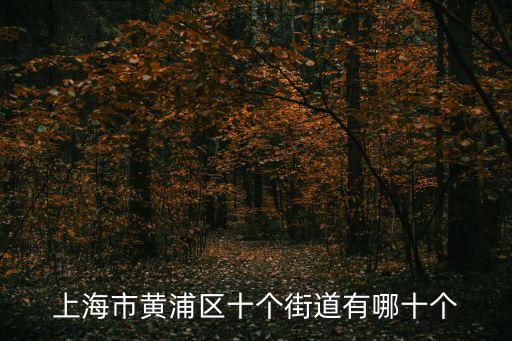 上海市黃浦區十個街道有哪十個