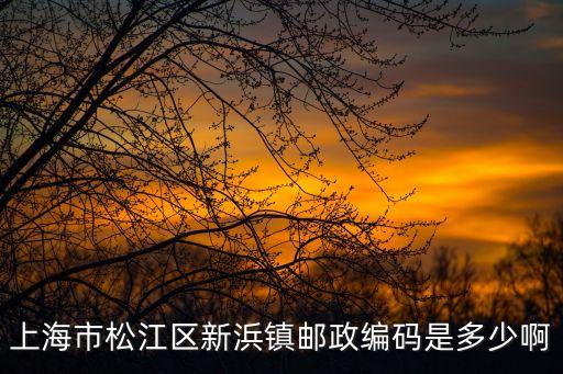 上海市松江區新浜鎮郵編，松江區新浜鎮郵編