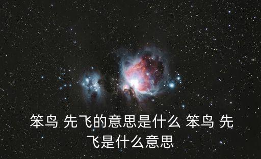  笨鳥 先飛的意思是什么 笨鳥 先飛是什么意思