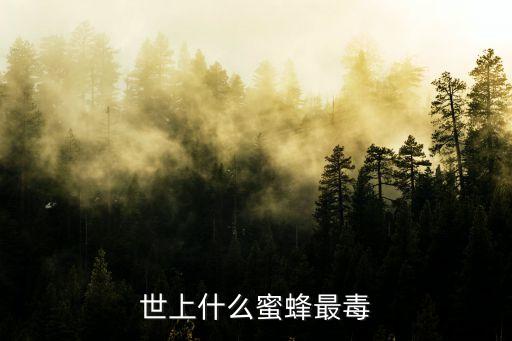 世上什么蜜蜂最毒