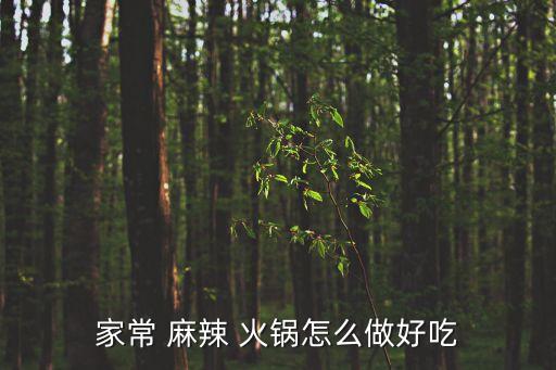 麻辣火鍋,火鍋底料