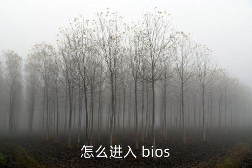 怎么進入 bios