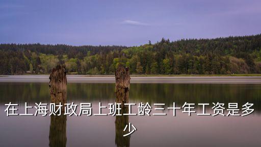 上海市工齡工資標(biāo)準(zhǔn)，在上海財(cái)政局上班工齡三十年工資是多少