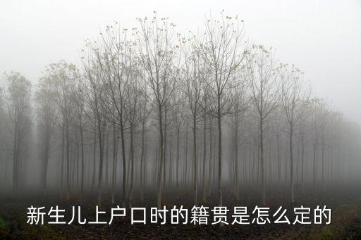 上海市新生兒籍貫，新生兒上戶口時(shí)的籍貫是怎么定的